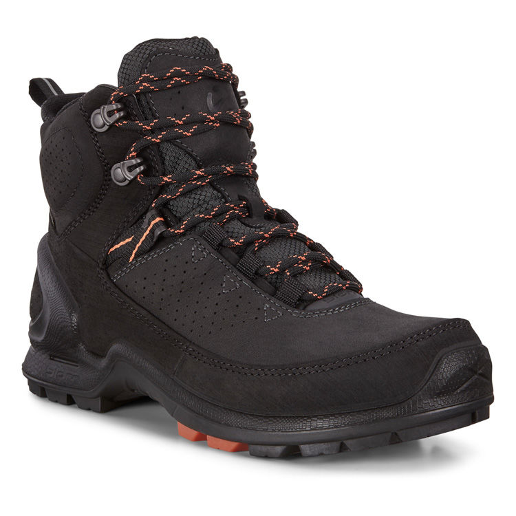 Ecco cheap terrain biom