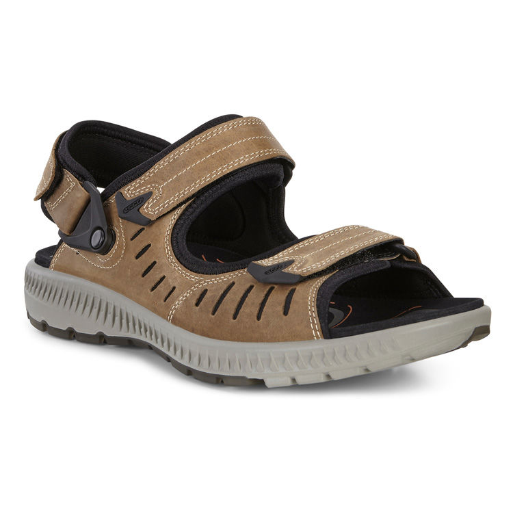 Сандалии TERRA SANDAL M ECCO 822704/02114 фото 1