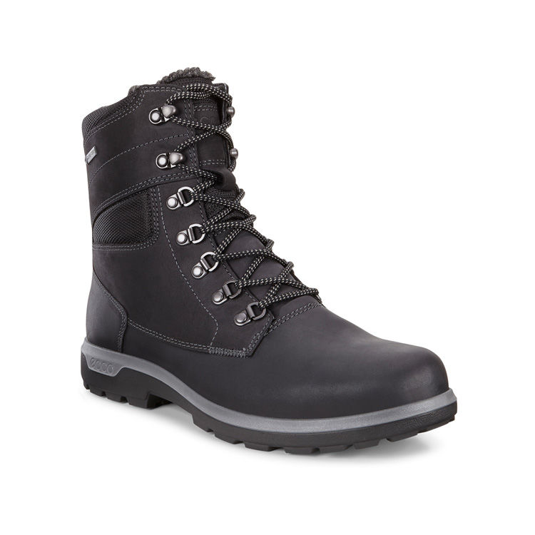 Ecco whistler store gtx boot