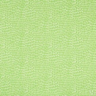 Ткань Brunschwig & Fils fabric 8017154.3.0