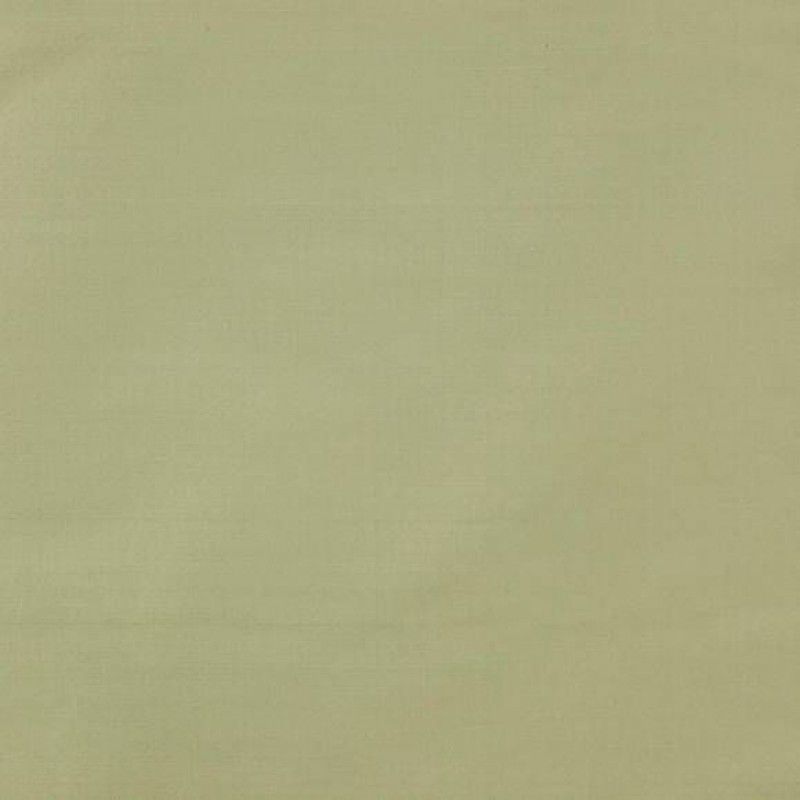 Ткань Colefax and Fowler fabric F3931-88 F3931-88 фото 1