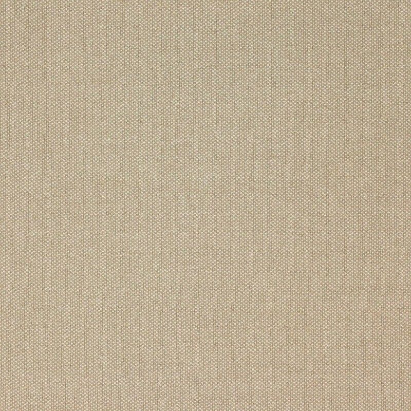 Ткань Colefax and Fowler fabric F4504-04 F4504-04 фото 1