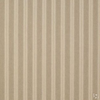 Ткань Colefax and Fowler fabric F4527-04