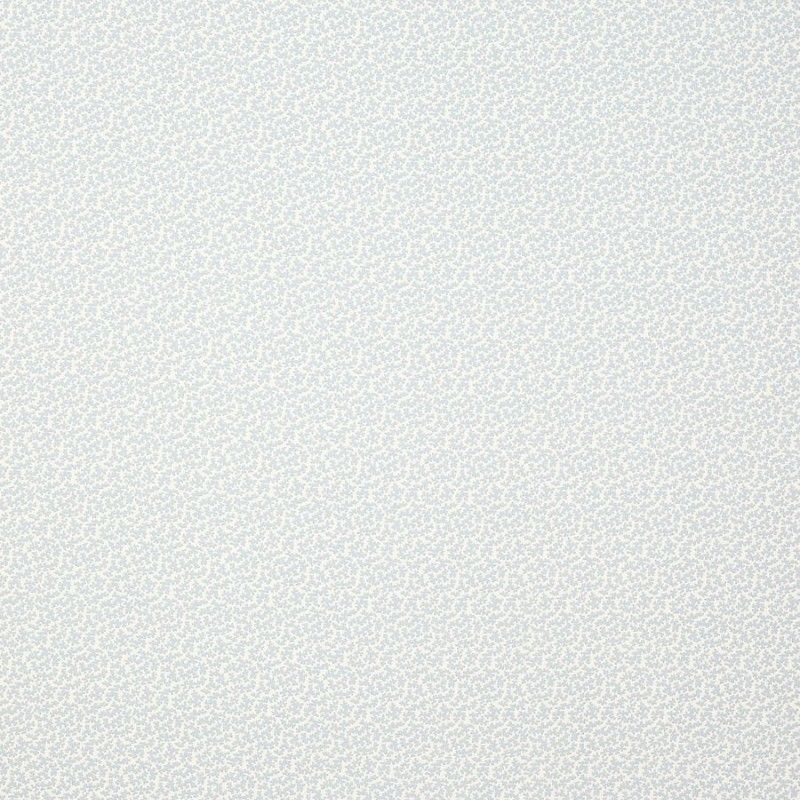 Ткань Colefax and Fowler fabric F4608-04 F4608-04 фото 1